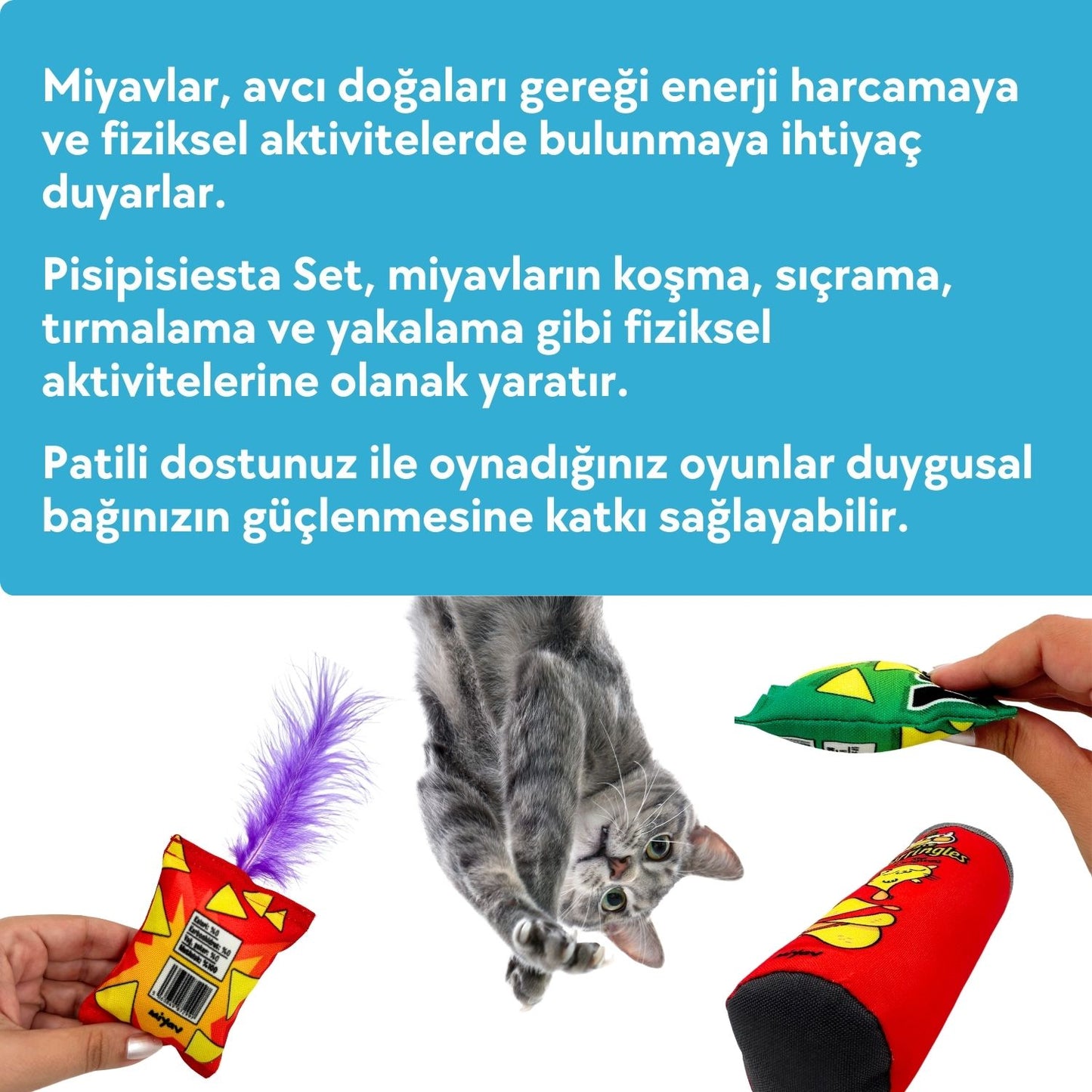 PisiPisiesta 4'lü Kedi Oyuncak Seti Kedi Yastığı, Kedi Oltası ve Catnipli Peluş Kedi Oyuncakları