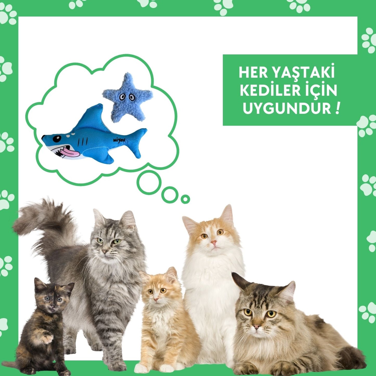 MiYaz Deniz Temalı Kedi Oyuncak Seti Denizyıldızı ve Köpek Balığı