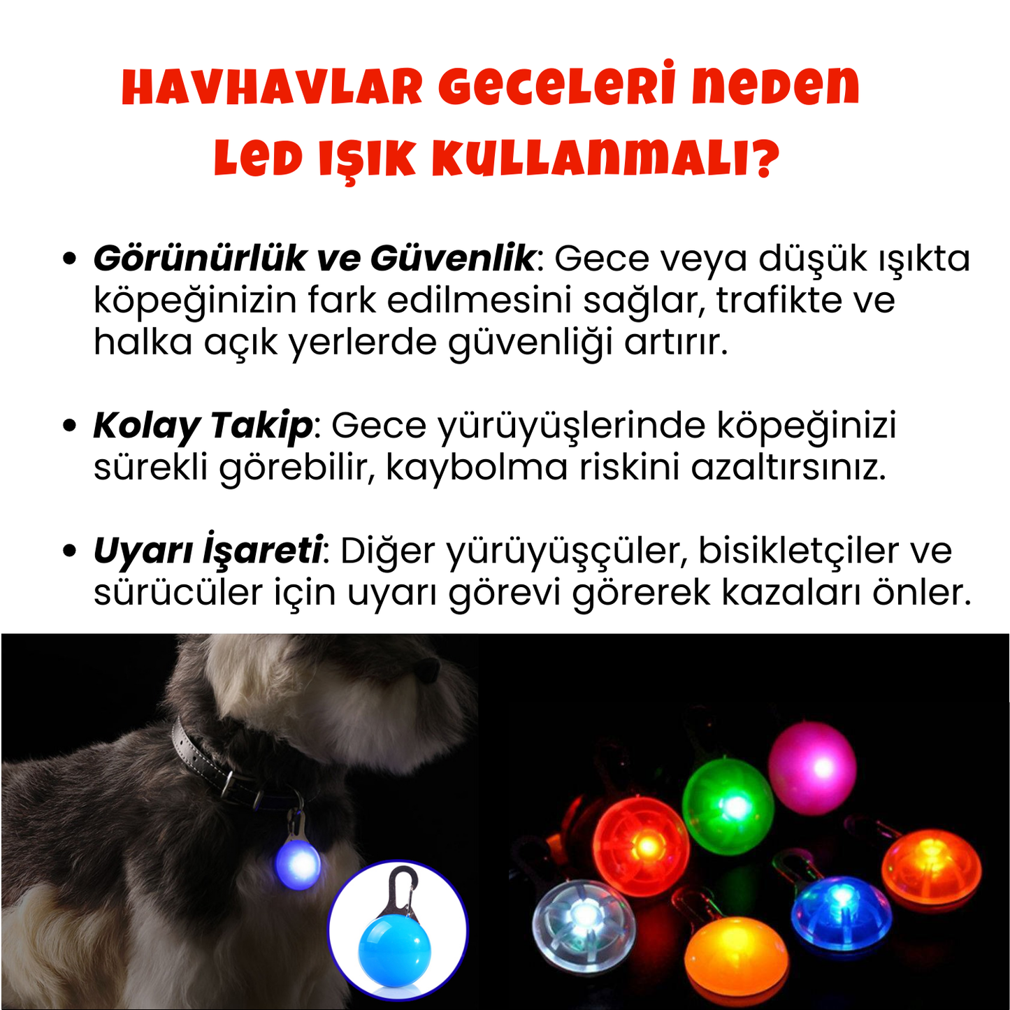 Havhav Köpek Gezdirme Seti Köpek Çantası, 4 Rulo Kaka Poşeti ve Tasma Ucu Led Işık