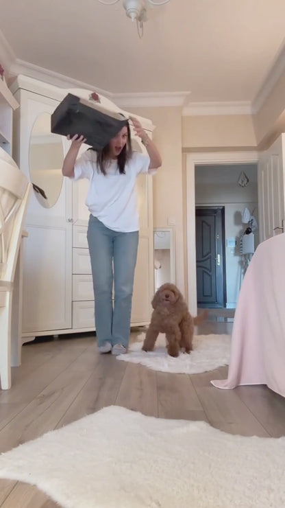 Köpek Parti Kutusu | Parti Şapkası, Peluş Pasta, Peluş Hediye Kutusu ve 2 Ödül Maması