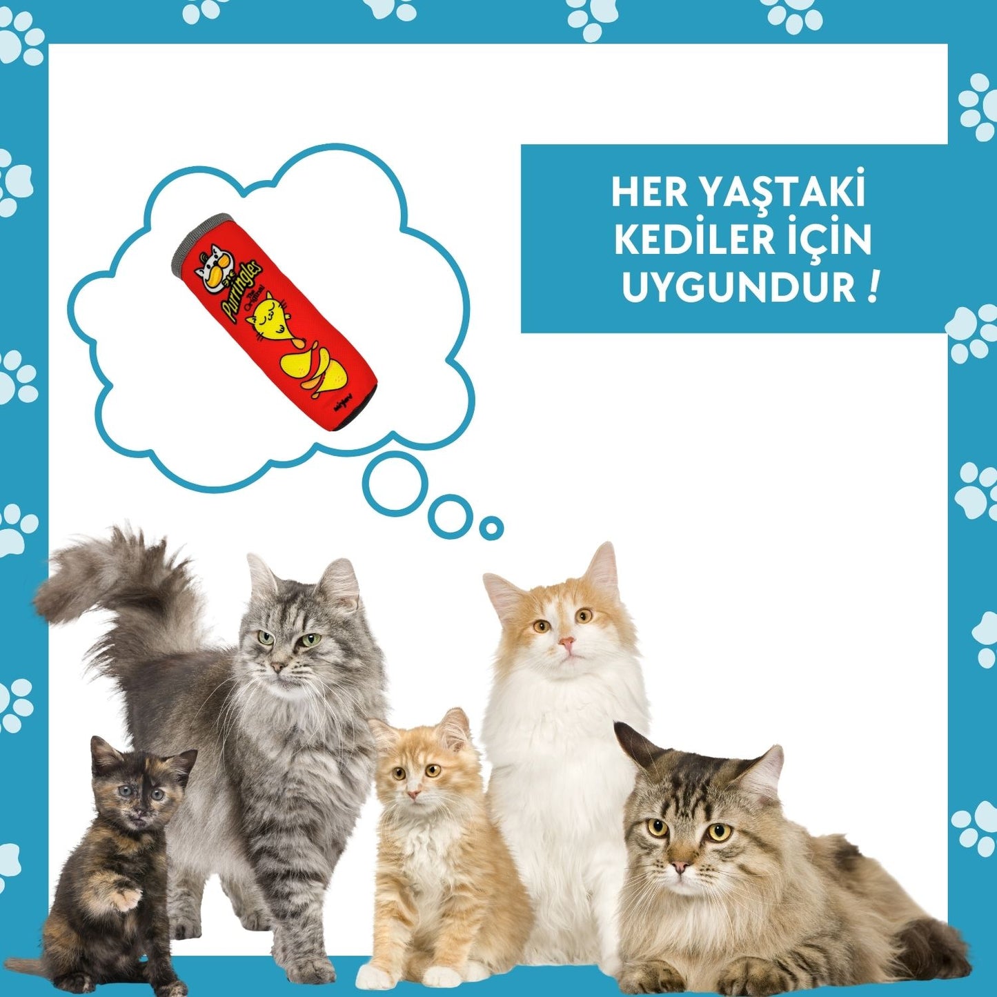 Purringles Catnipli Kedi Oyuncağı Kicker