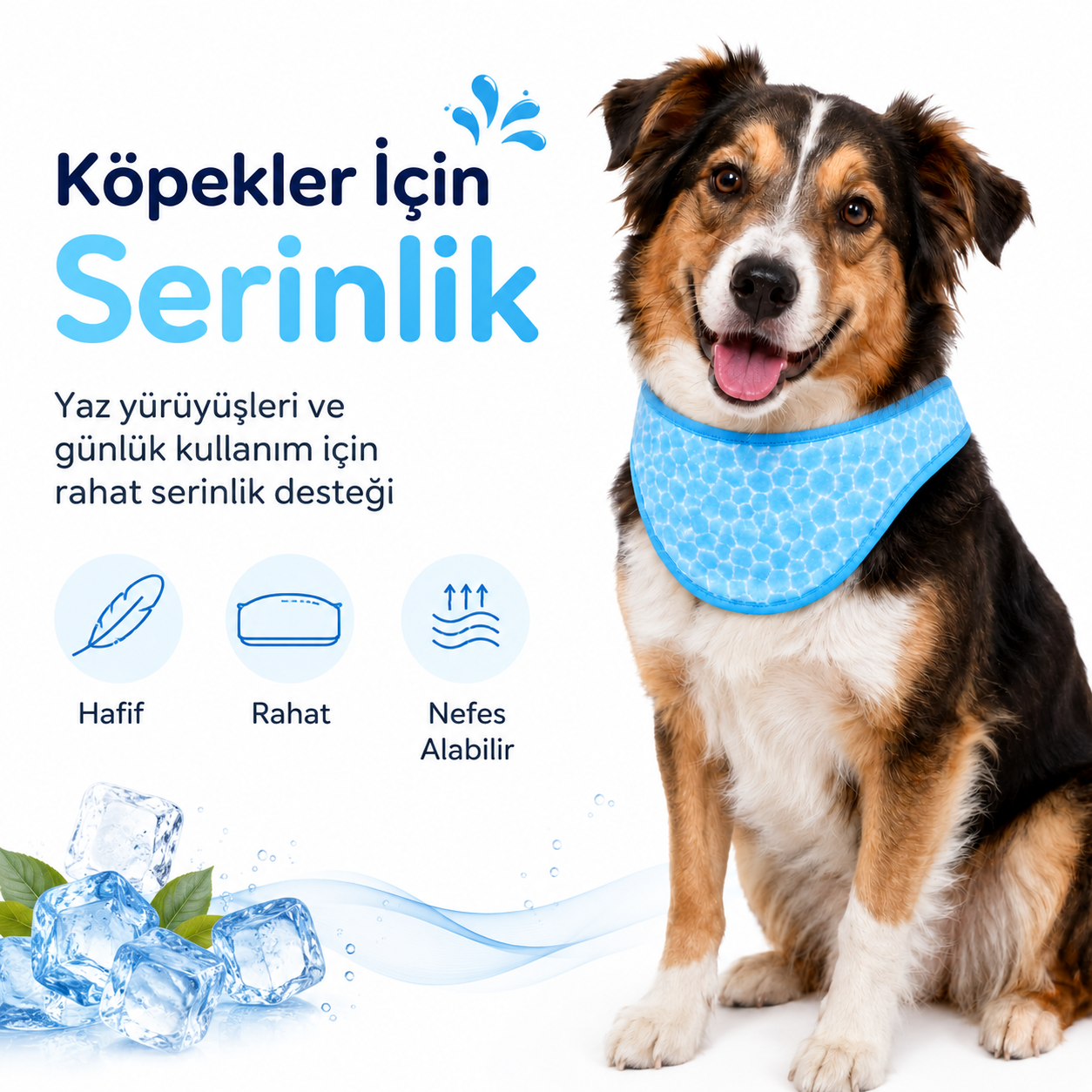 Havhav Serinletici Köpek Oyuncak Seti 3’lü - Serinletici Fular, Köpekbalığı ve Çapa Köpek Oyuncakları