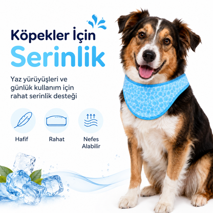Havhav Serinletici Köpek Oyuncak Seti 3’lü - Serinletici Fular, Köpekbalığı ve Çapa Köpek Oyuncakları