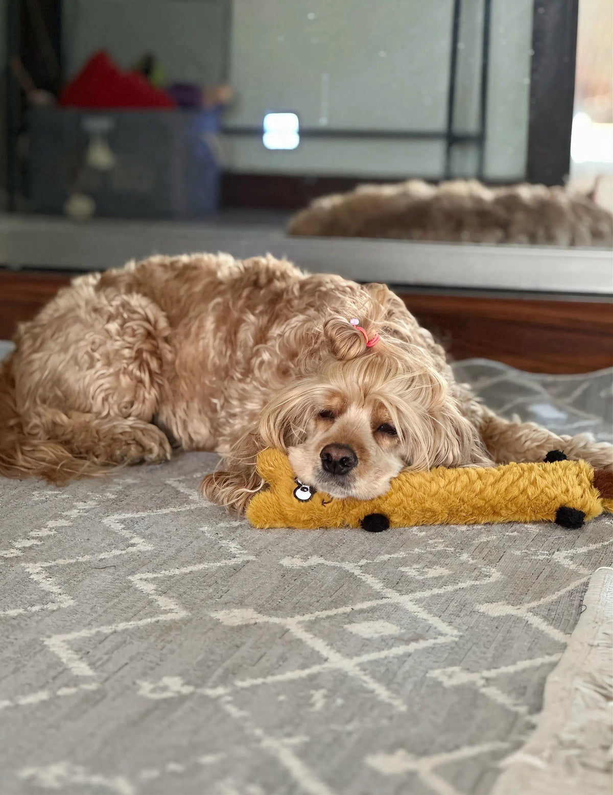 Havhav Sincap 40 cm - Peluş Sincap Köpek Oyuncağı